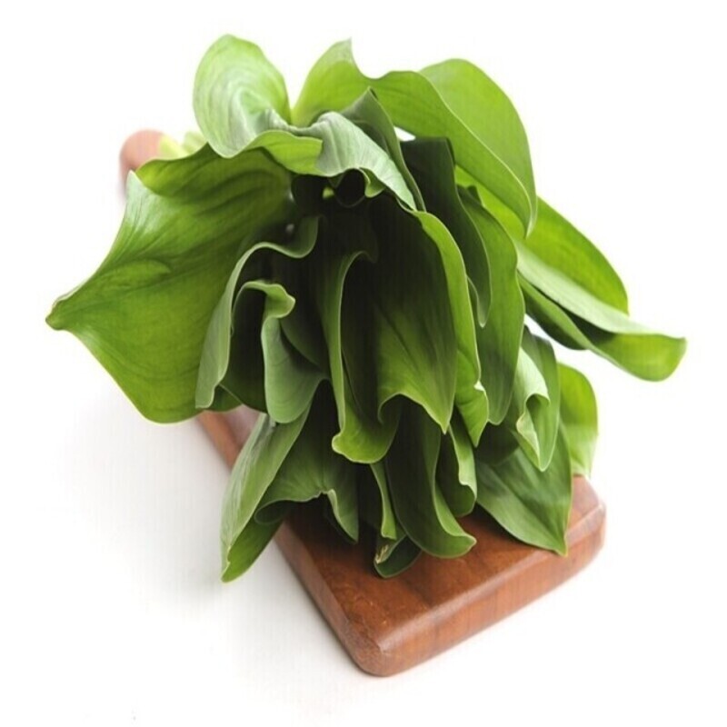 맛있는사과,평창산마늘(명이)(저탄소,GAP인증)