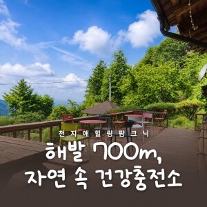 천지애건강충전소/힐링팜크닉