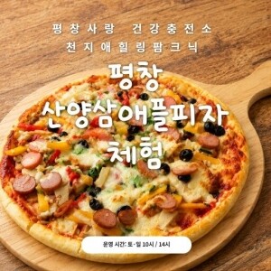 천지애건강충전소/평창 산양삼애플피자체험