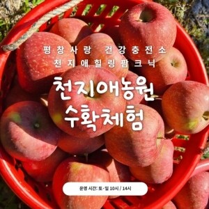 천지애건강충전소힐링팜크닉(수확체험)